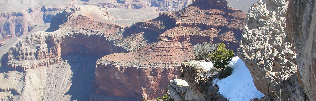 Views of the Grand Canyon