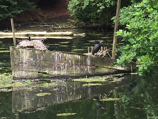 heimat-tierpark